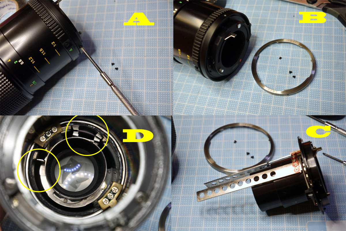 キャノン「Canon NEW FD 100mm F4 MACRO」分解・清掃・作例 | ヨッシー 