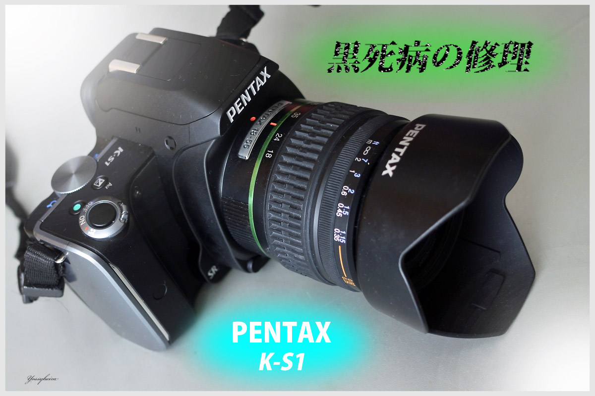 pentax k-50 黒死病あり - デジタルカメラ