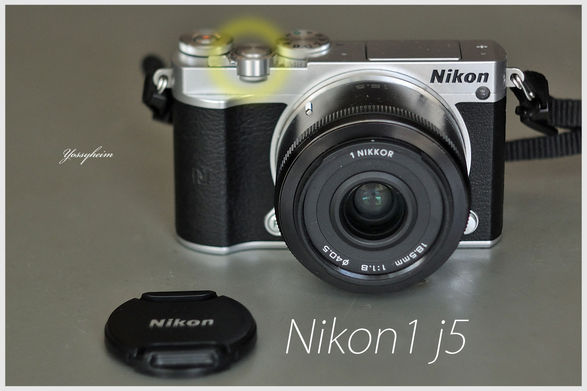 人気超激得Nikon NIKON 1 J5 ジャンク品 デジタルカメラ