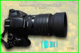 カメラ2107/シグマ/EX/AF/105mm/F2.8/MACRO/レンズ SIGMA 105mm F2.8 DG DN MACROのレビューです | 大人の男性よ、楽しま