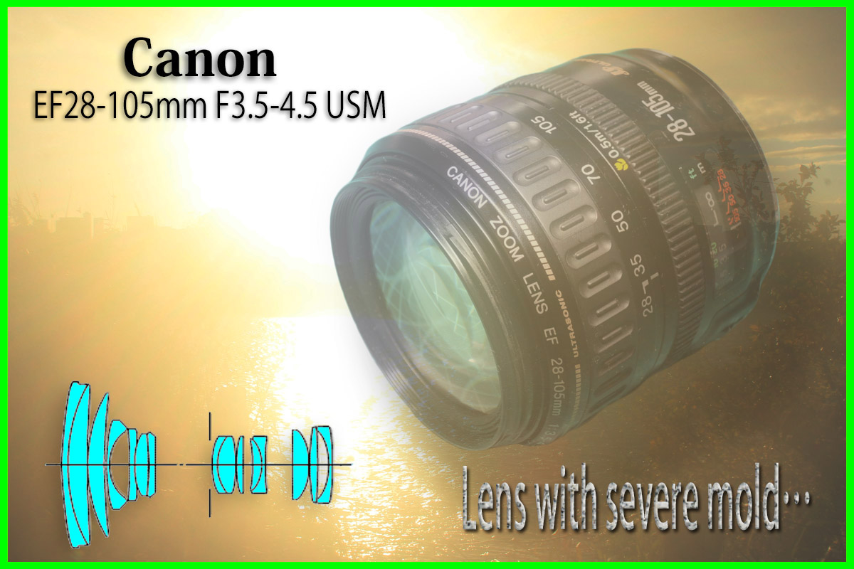 キャノン「EF28-105mm F3.5-4.5 USM」分解清掃・作例 | ヨッシーハイム